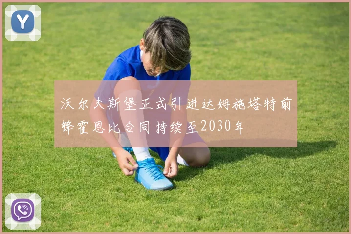 沃尔夫斯堡正式引进达姆施塔特前锋霍恩比合同持续至2030年
